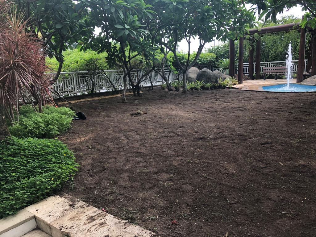 WhatsApp Image 2019-07-04 at 23.14.09 (13).jpeg