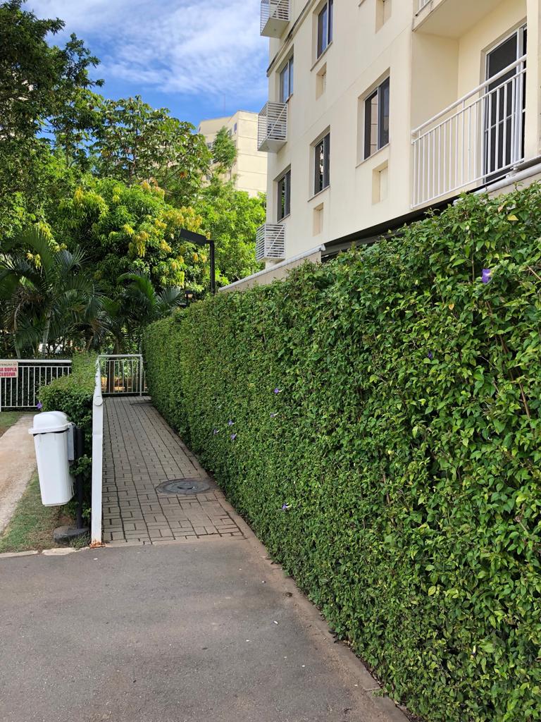 WhatsApp Image 2019-07-04 at 23.20.24 (14).jpeg