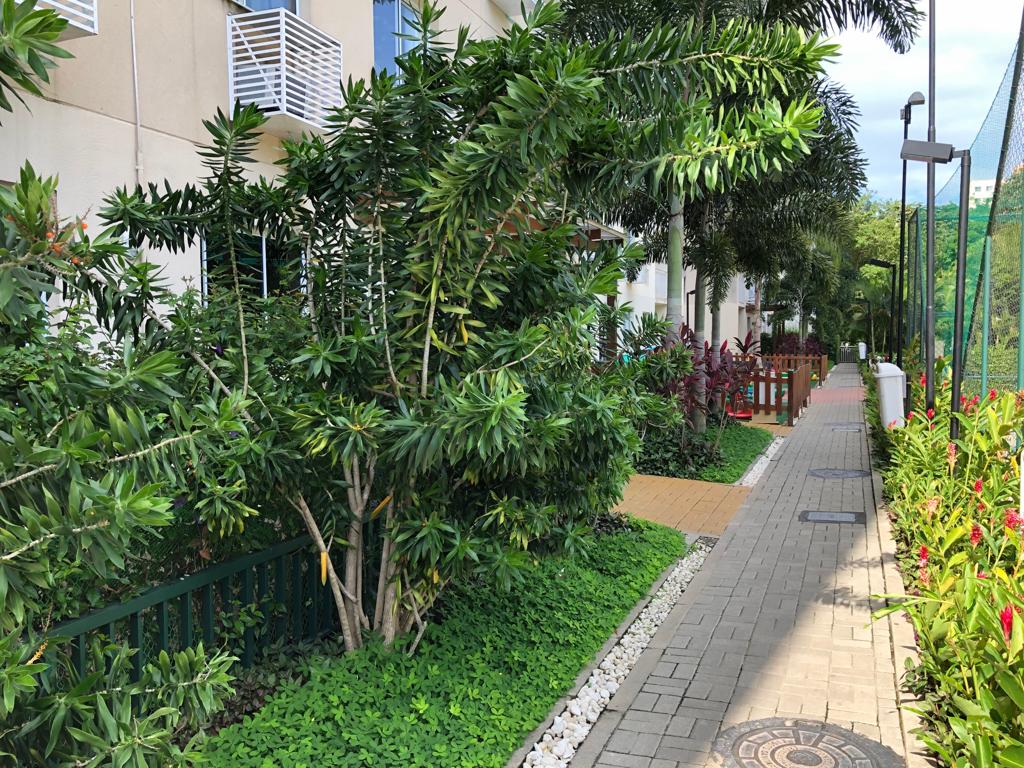 WhatsApp Image 2019-07-04 at 23.20.24 (7).jpeg