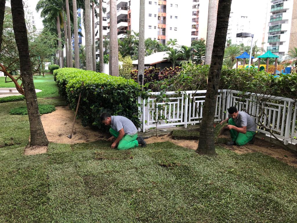 WhatsApp Image 2019-07-04 at 23.14.09 (11).jpeg