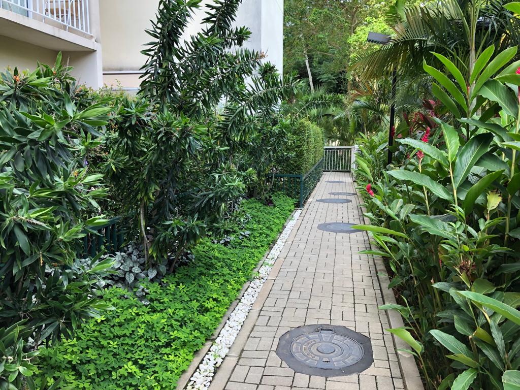 WhatsApp Image 2019-07-04 at 23.20.24 (12).jpeg